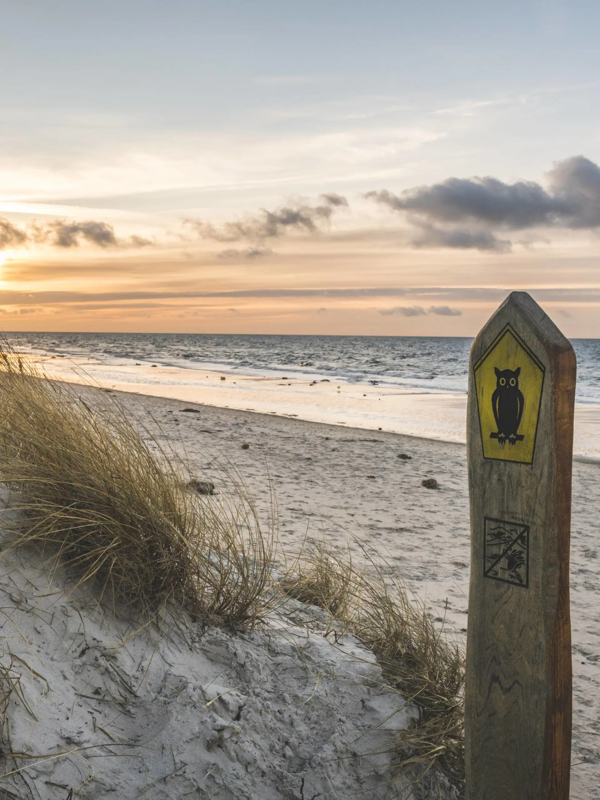 Germany, Mecklenburg-Western Pomerania, Darss, Ahrenshoop, beach passage PUBLICATIONxINxGERxSUIxAUTxHUNxONLY KEBF01064  