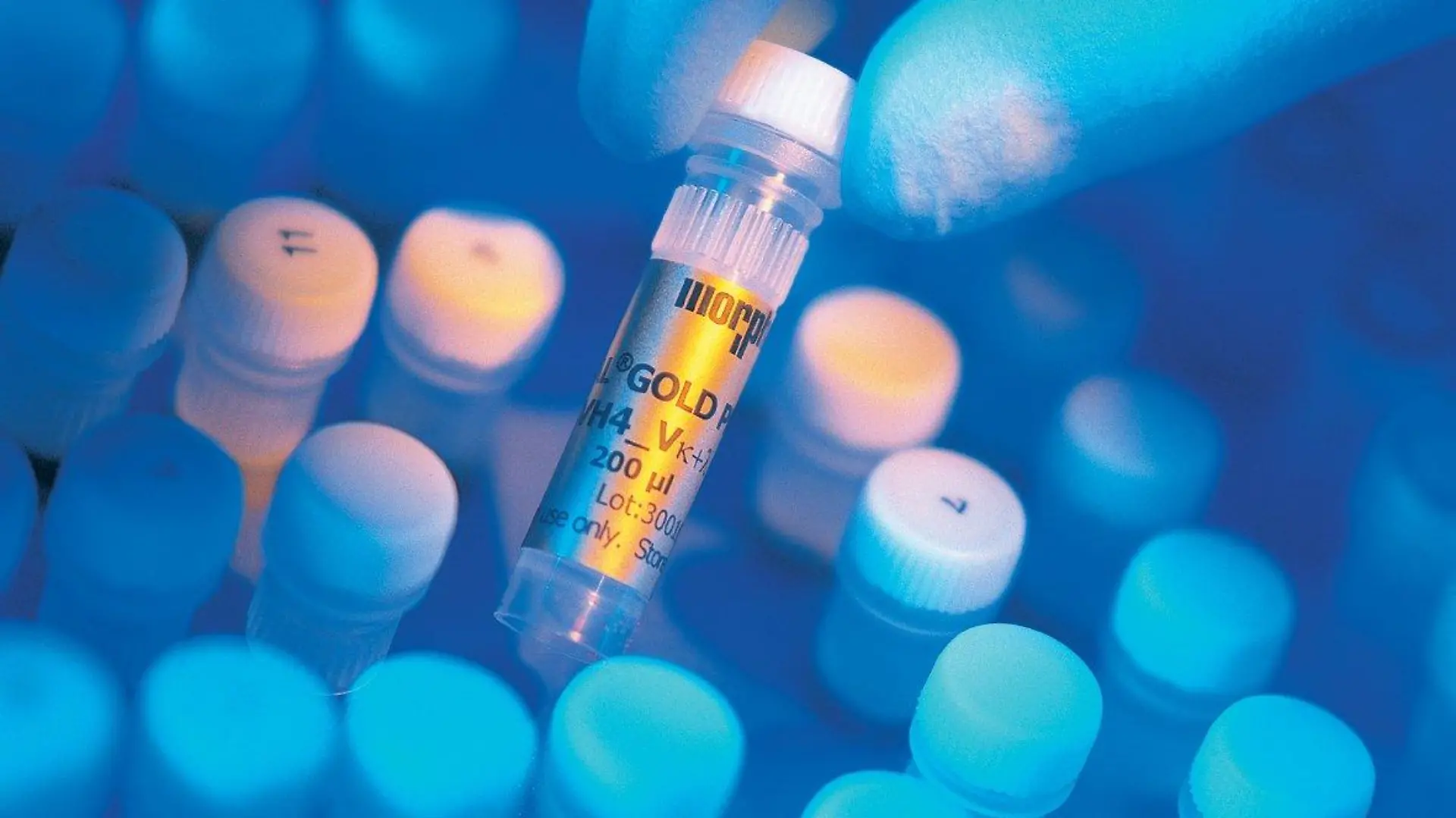 Ein Mitarbeiter des Biotechnologie-Konzerns MorphoSys aus Martinsried bei München zeigt eine Antikörperbibliothek in einer Eppendorf-Tube (undatiertes Handout). Die deutsche Biotech-Branche hofft auf ein Ende der Durststrecke. Nach kräftezehrenden Jahren mit hohen Verlusten sollen in diesem Jahr die ersten Medikamente-Kandidaten den Schlussspurt zur Marktzulassung antreten. Foto: MorphoSys dpa/lby (zu dpa-Themenpaket "Pharma", KORR "Biotechs hoffen auf Ende der Durststrecke - Geld fließt noch spärlich") +++(c) dpa - Bildfunk+++