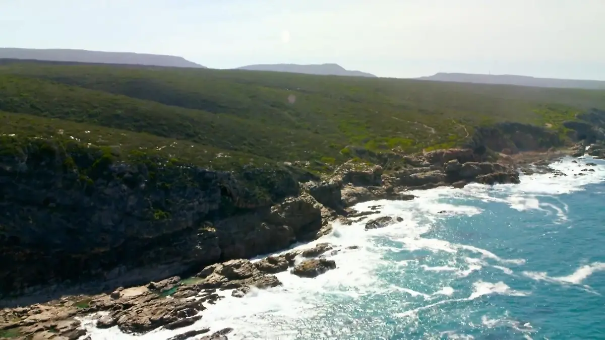 Unsere Ozeane - Kreislauf des Lebens Loop