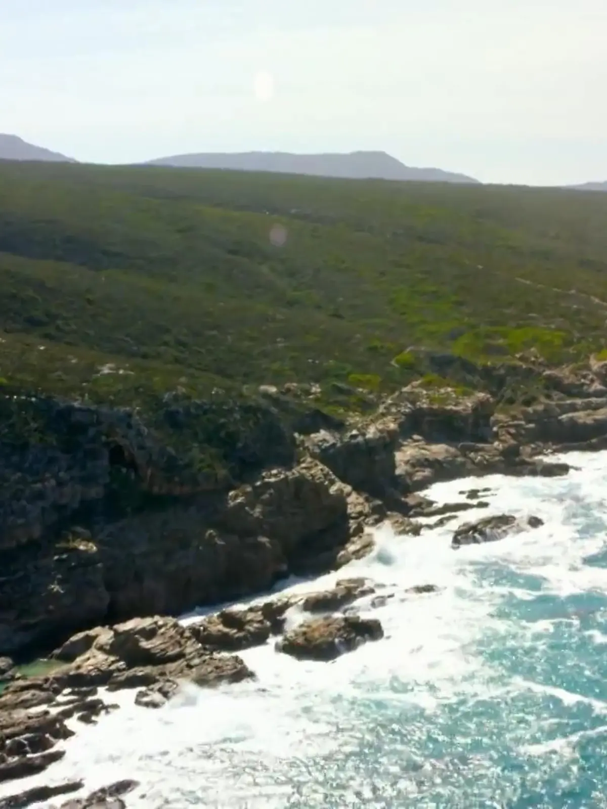 Bild zu: "Unsere Ozeane - Kreislauf des Lebens"