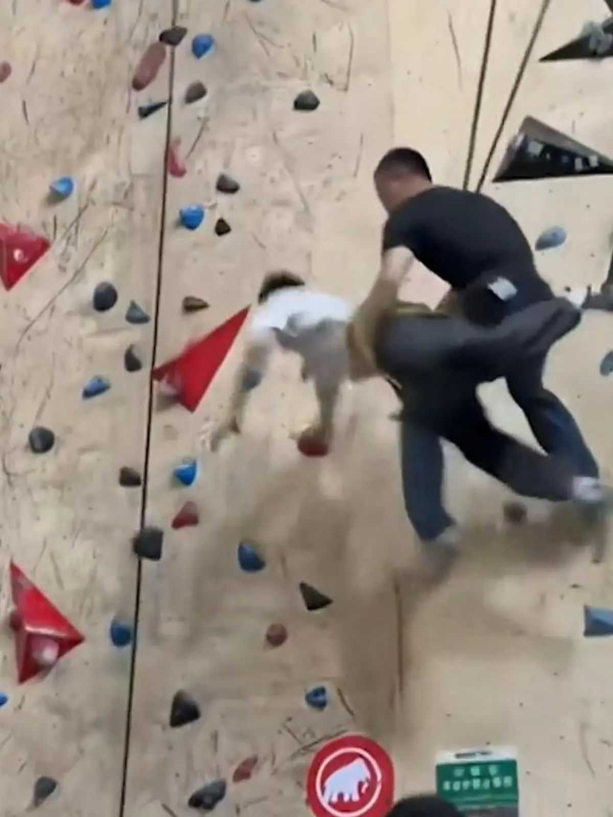 Bild zu: "Mann stürzt ungesichert in die Tiefe – Kletter-Kumpel reagiert blitzschnell"