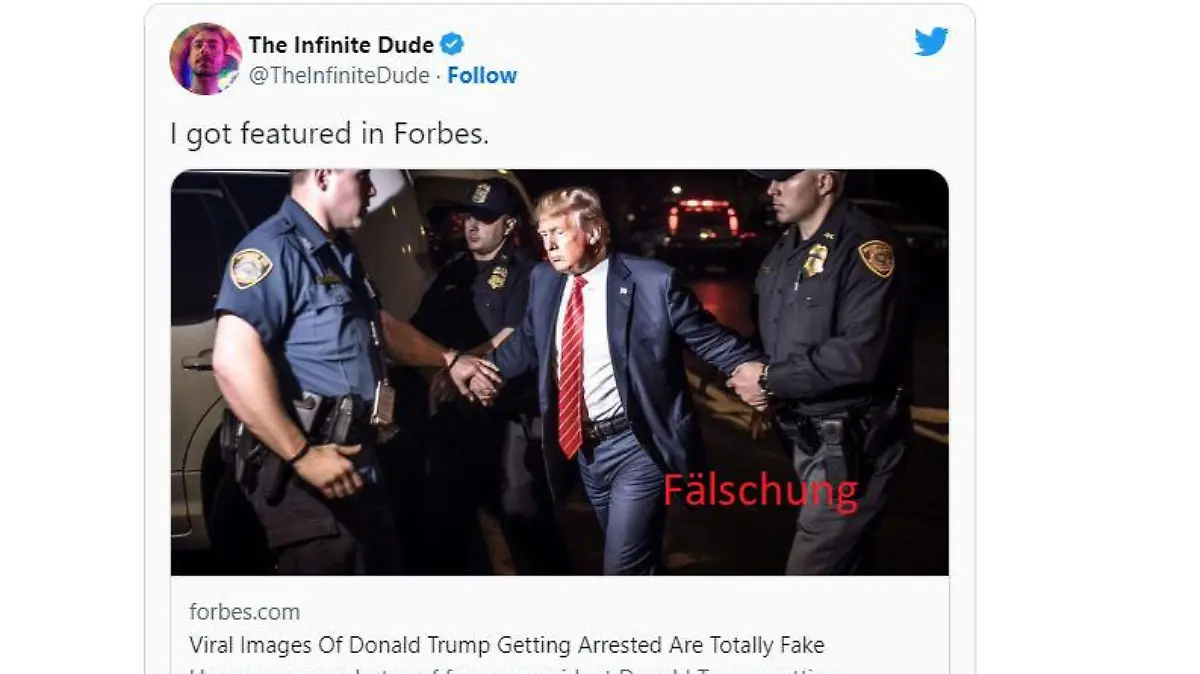 Diese Bild kursiert im Web - es ist kein echtes Foto, sondern ein Fälschung. Es wurde mit Hilfe einer KI erstellt.