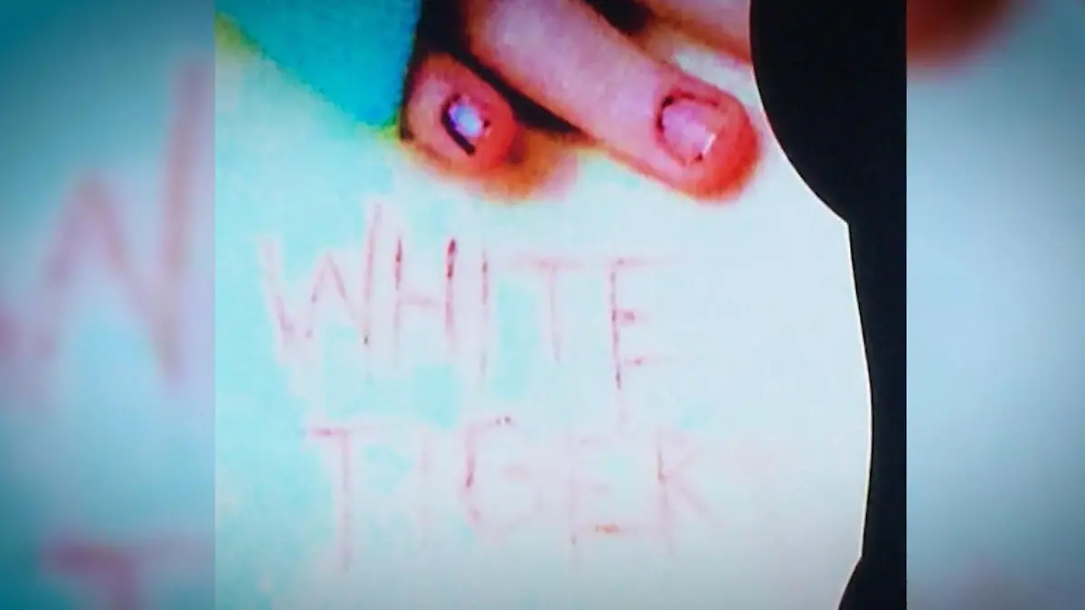 Teenies zum Suizid angestiftet! Das wissen wir über den „White Tiger“ aus Hamburg 20-Jähriger soll Teil der Gruppe „764“ sein