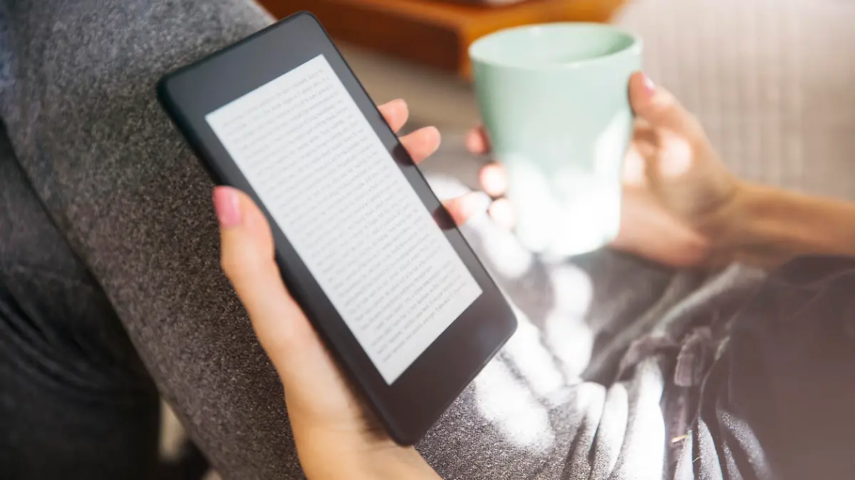 Frau mit E-Book-Reader