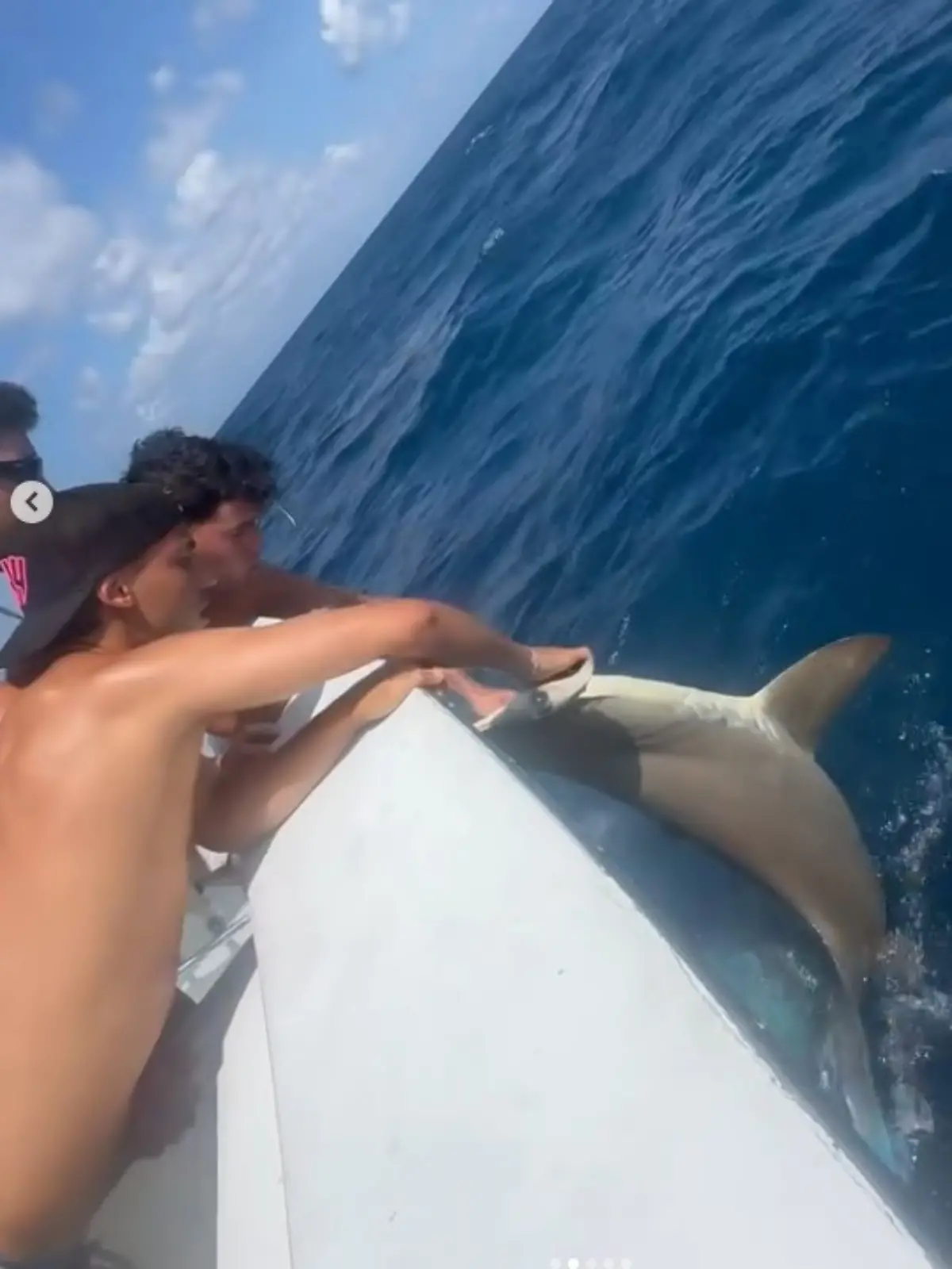 João Felix (l) versucht, mit einem Freund einen Hai festzuhalten.