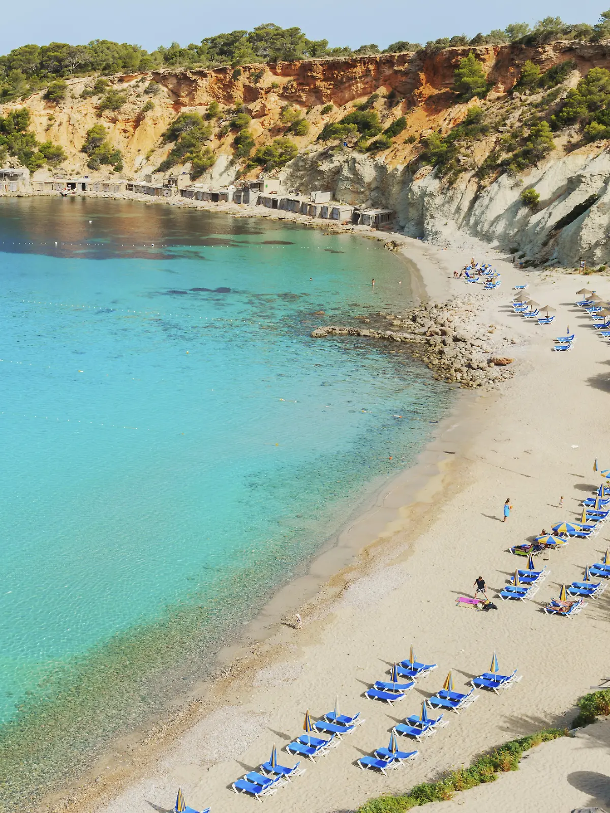 Auf Ibiza breitet sich eine Schlangen-Plage aus. Was Touristen jetzt wissen müssen.