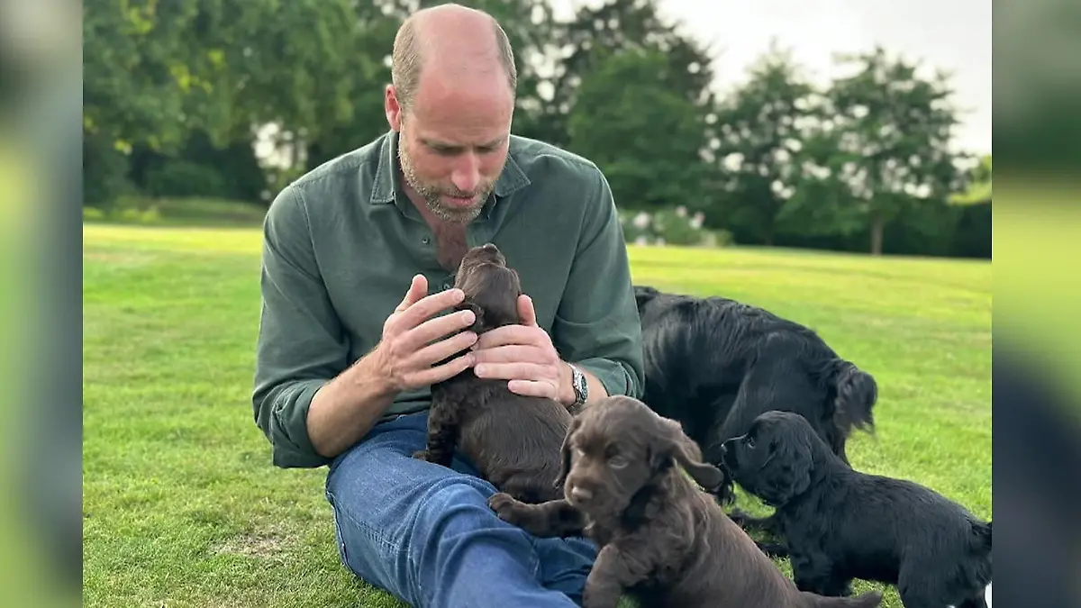 Welpenalarm bei Prinz William! Das ist das süßeste Geburtstagsfoto aller Zeiten So flauschig gratuliert Kate ihrem Mann
