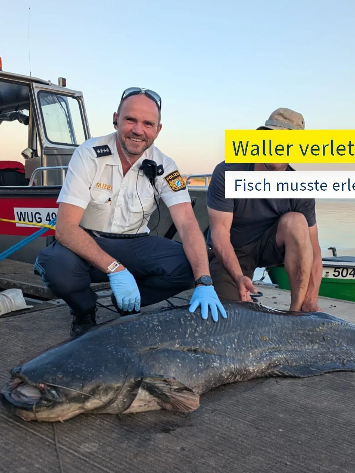 Nach Angriff auf Badegäste - Polizei erschießt Wels