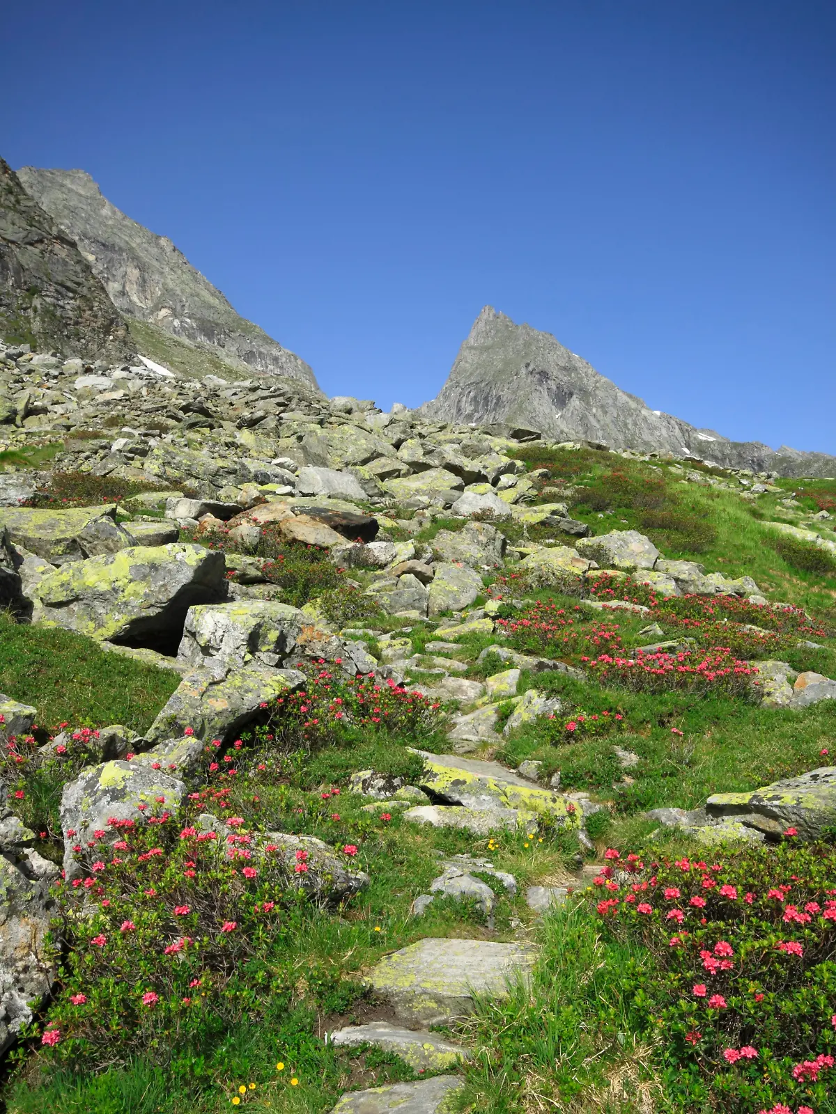 Gigalitz in den Zillertaler Alpen