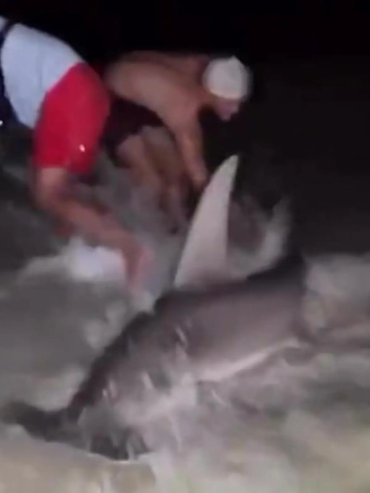 Bild zu: "Davids Hand war in seinem Maul! Raubfisch peitscht Touri in die Wellen"