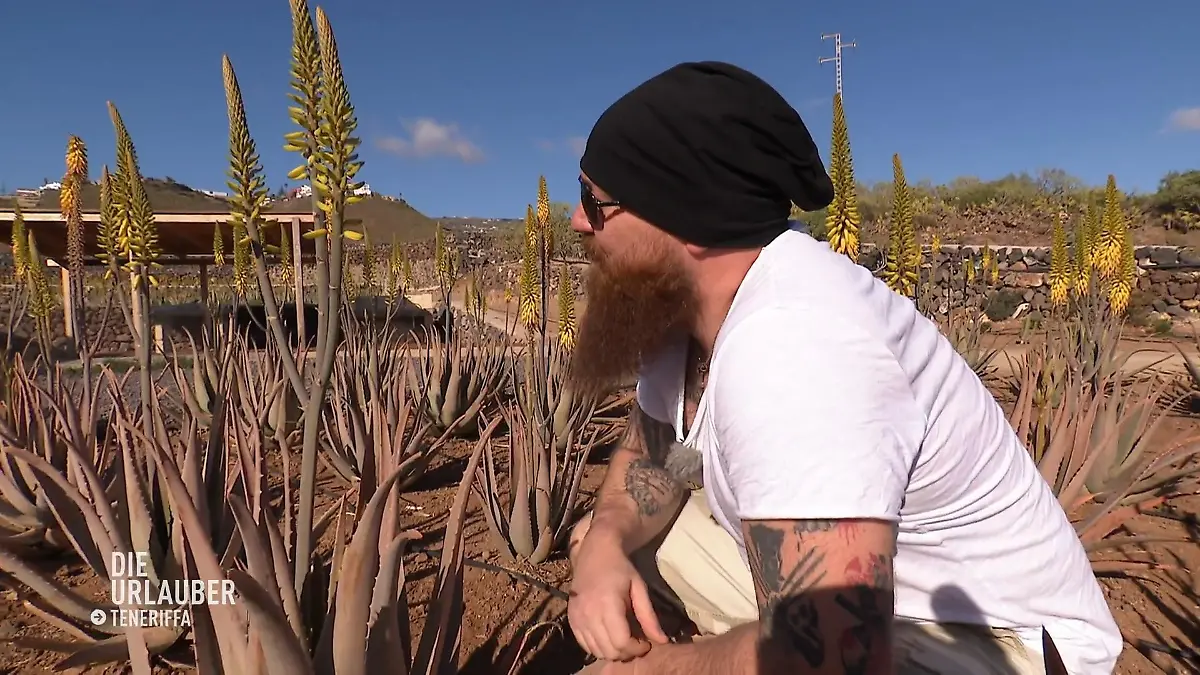 Kai und Sarah besuchen eine Aloe Vera Farm Kostenloses Abenteuer