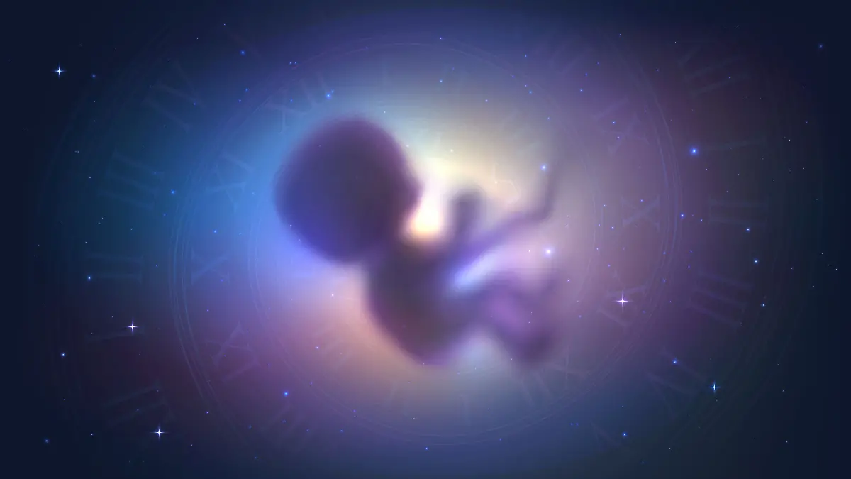 Der menschliche Embryo im Raum und die Spirale der Zeit, das Konzept der Reinkarnation, die Evolution und die Astrologie.