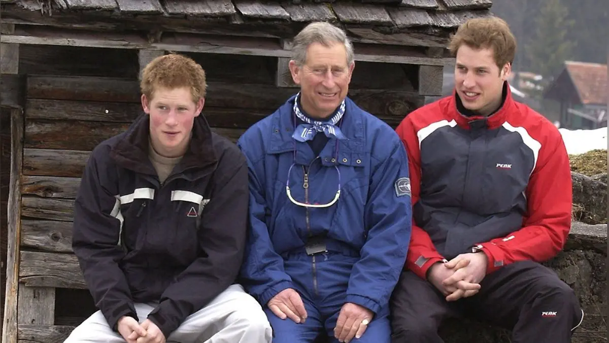 Prinz Harry, König Charles und Prinz William
