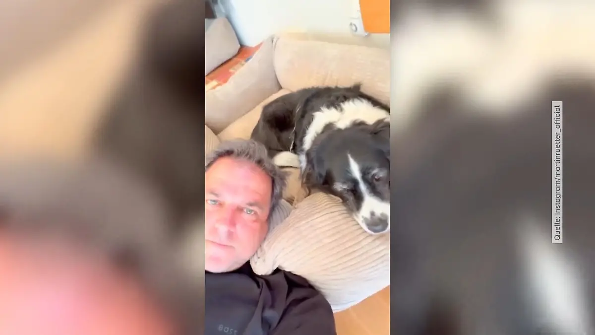 Martin Rütter spricht über die letzte Zeit mit Hündin Emma Hundeprofi kämpft mit den Tränen
