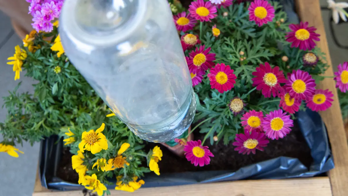 Flasche in Blumen auf Balkon