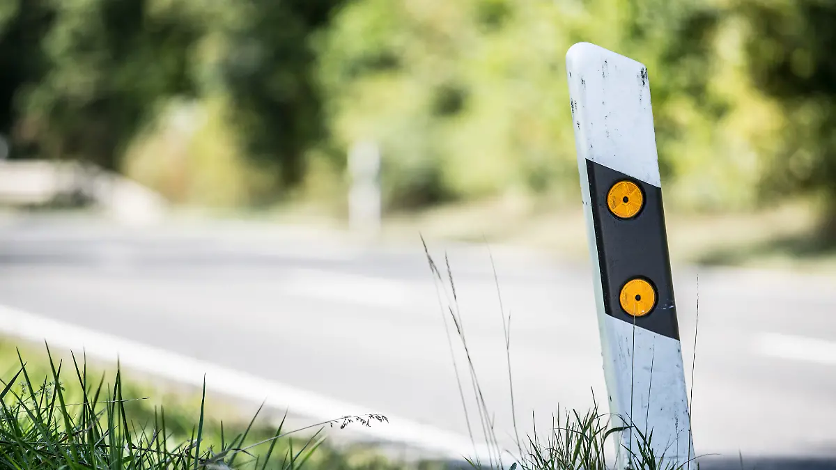 Die schwarz-weißen Pfosten stehen vor allem an Autobahnen und Landstraßen. (Symbolbild) 