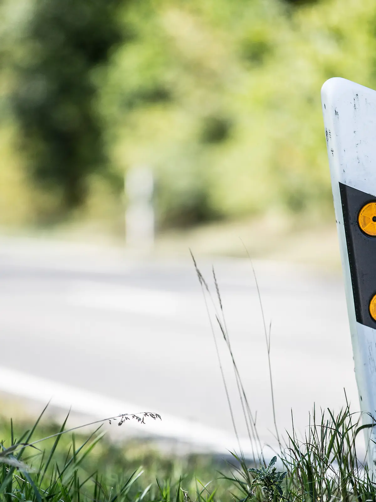 Die schwarz-weißen Pfosten stehen vor allem an Autobahnen und Landstraßen. (Symbolbild) 