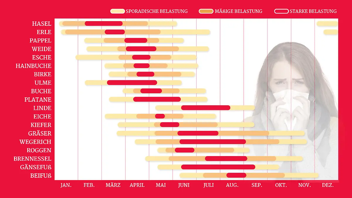 Grafik: Zu diesen Zeiten ist die Pollenbelastung besonders hoch.