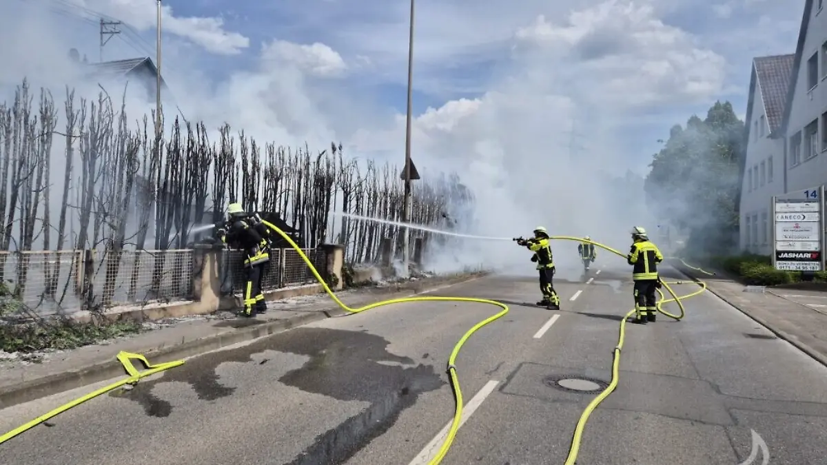 50 Meter Hecke komplett abgebrannt – ausgelöst durch Funkenflug beim Grillen.