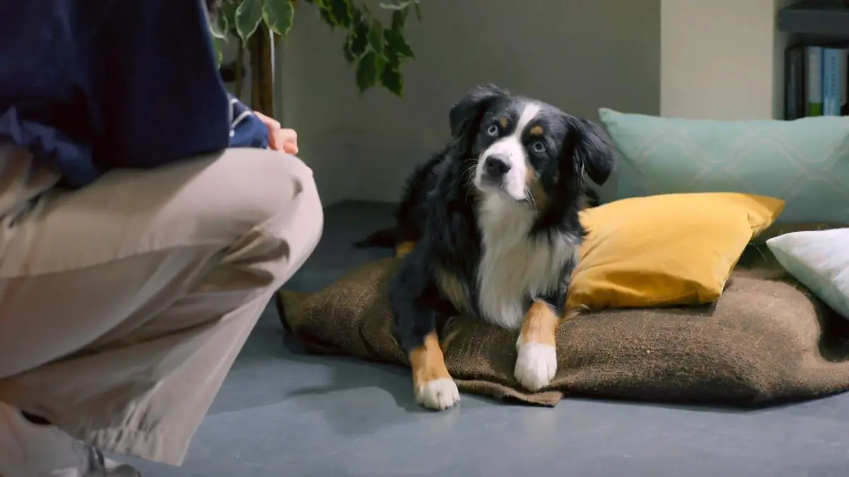 Dieser unschuldige Blick trügt! Die „Unter uns“-Wochenvorschau (Teil 3)