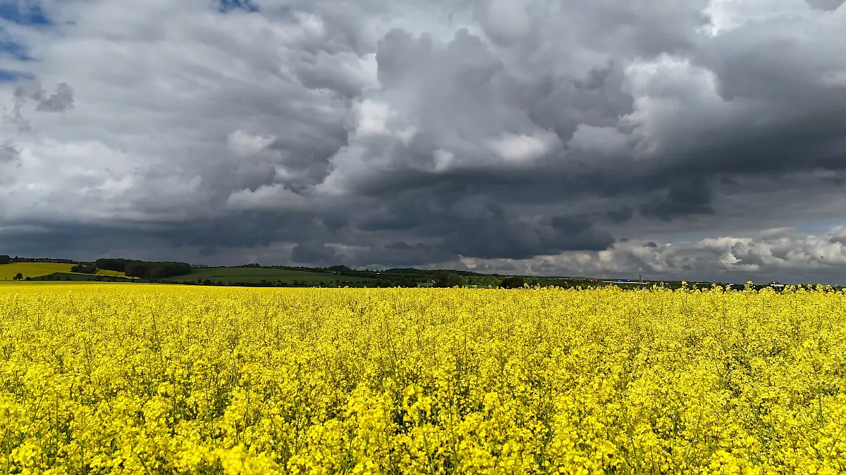 Unwetter in Thüringen