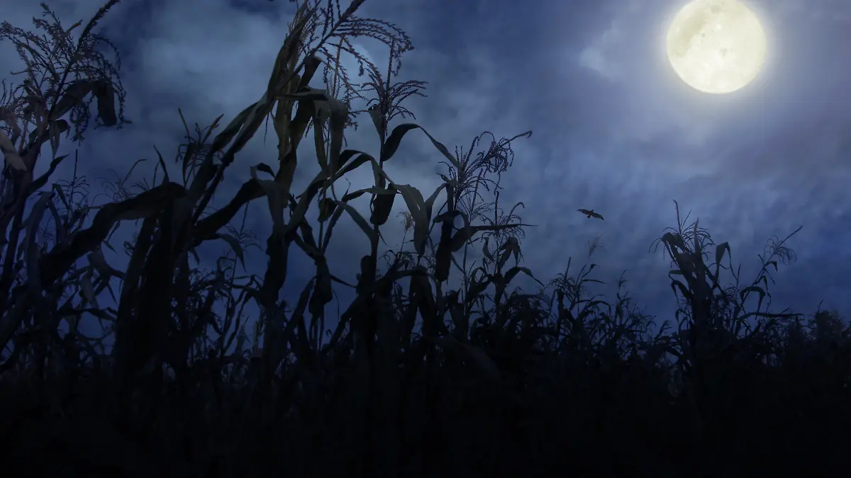 Heumond, Bockmond oder auch Donnermond: DIESE Bedeutungen werden dem Juli-Vollmond im Steinbock nachgesagt.