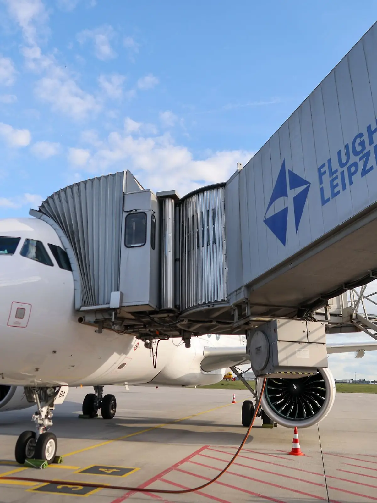Bild zu: "Zu besoffen für den Malle-Flug! Kapitän dreht um"