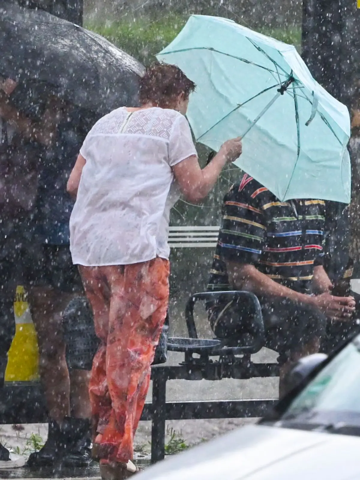 Bild zu: "Schweres Unwetter in Berlin und Brandenburg – Baumkrone stürzt auf Menschen"