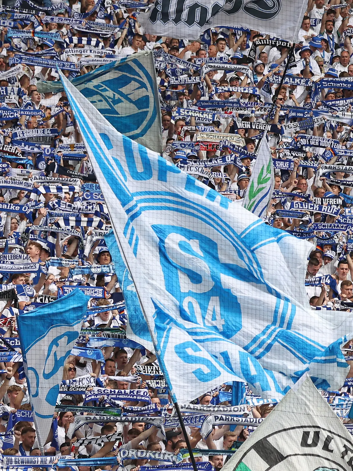 FC Schalke 04 Sciarpa Ufficiale Per Fan 'Classic', Colori Bianco E Blu, Taglia Unica (L)