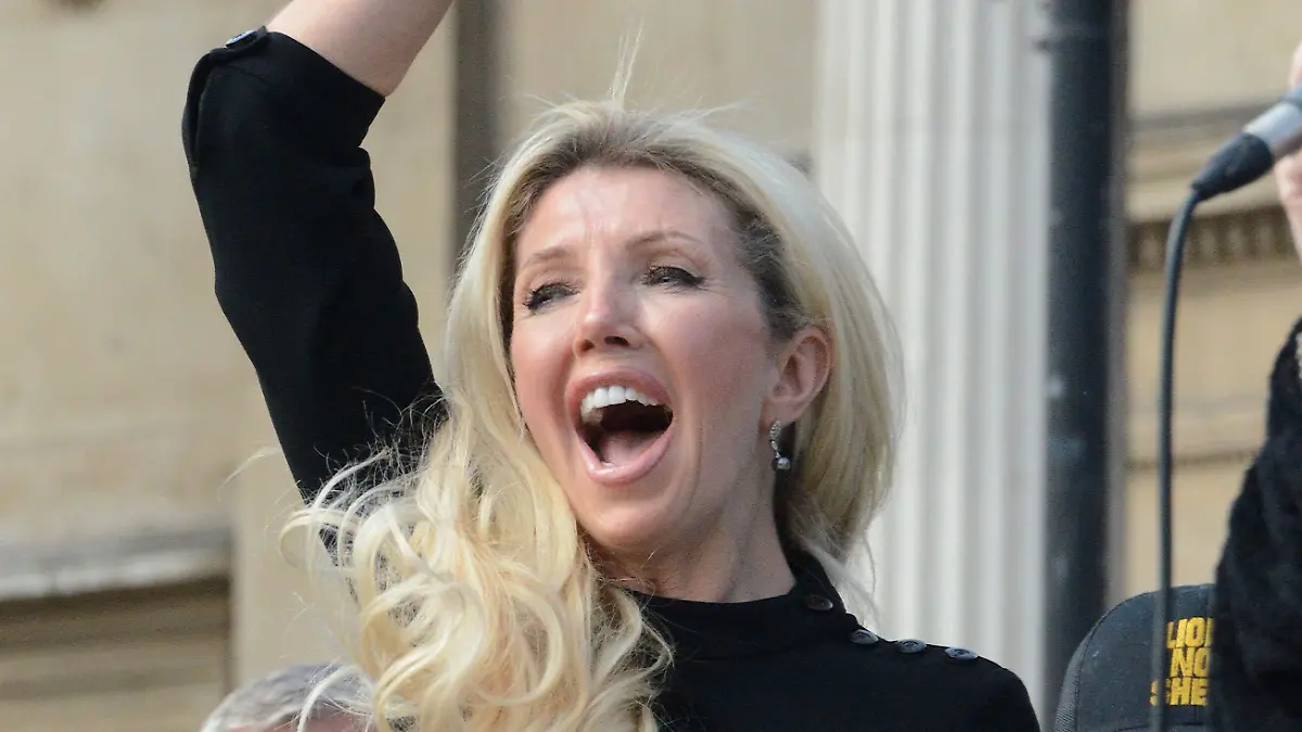 Kate Shemirani verbreitet ihre Verschwörungstheorien vor einem breiten Publikum. 