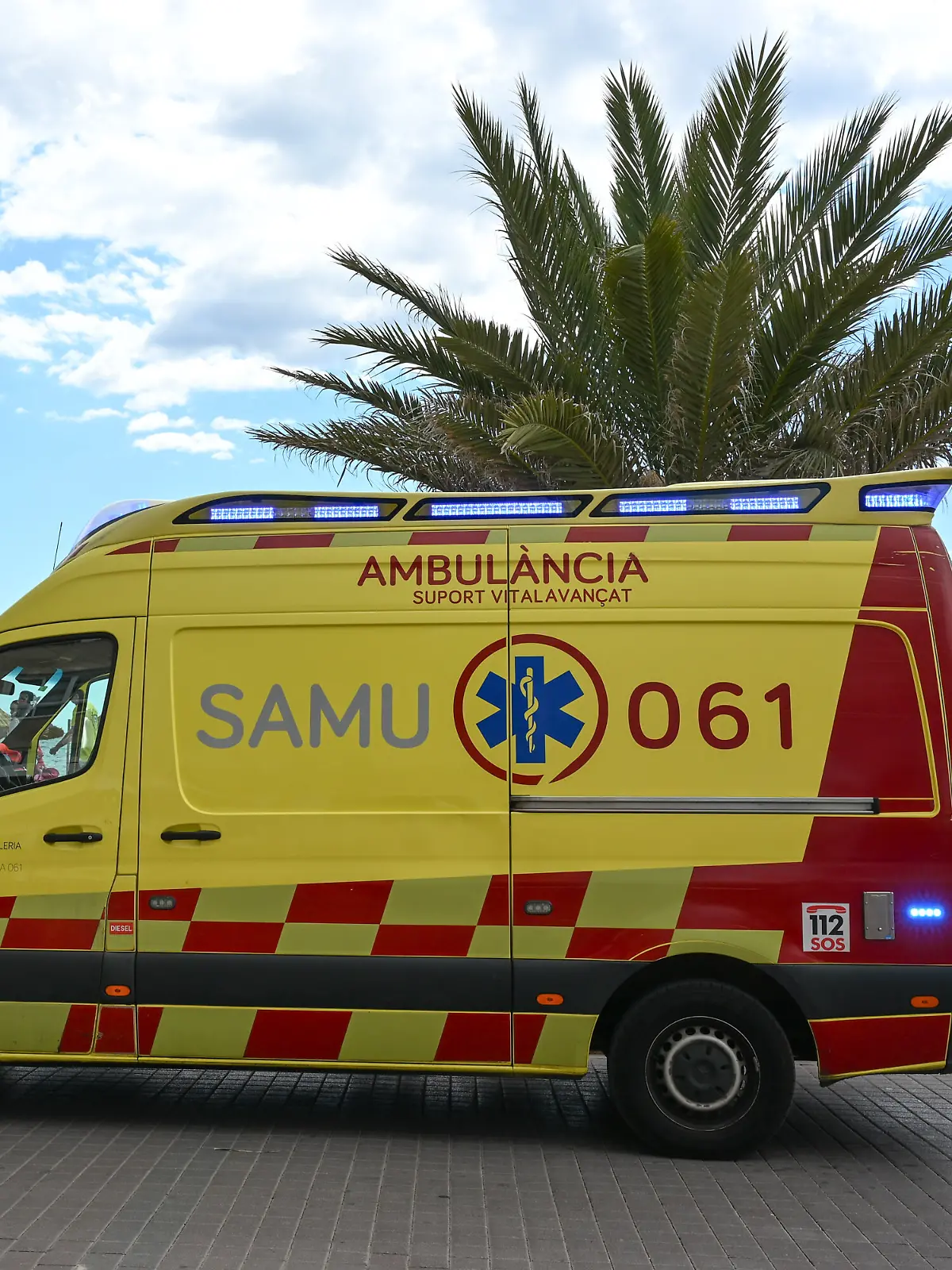 Bild zu: "Hitzetragödie auf Mallorca – Tourist (34) stirbt"