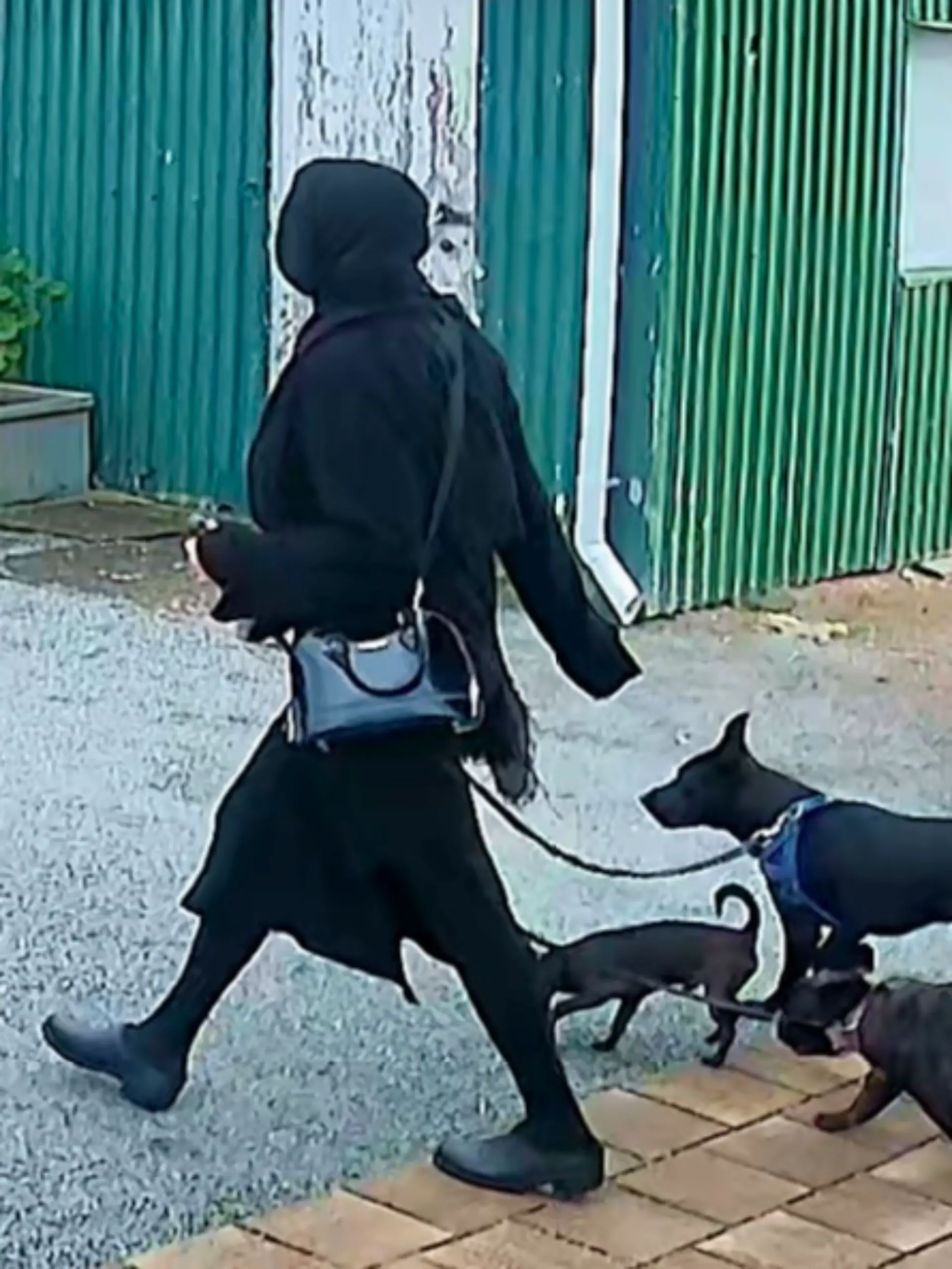 Tatverdächtige Tamika Chesser 