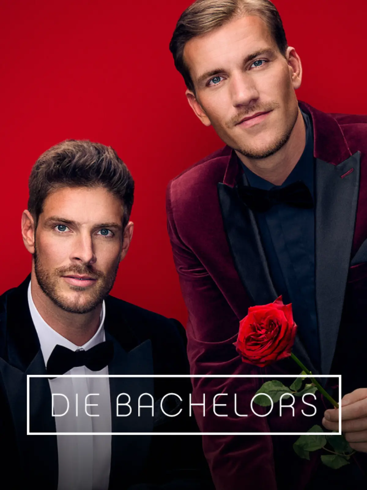 Bild zu: "Die Bachelors"