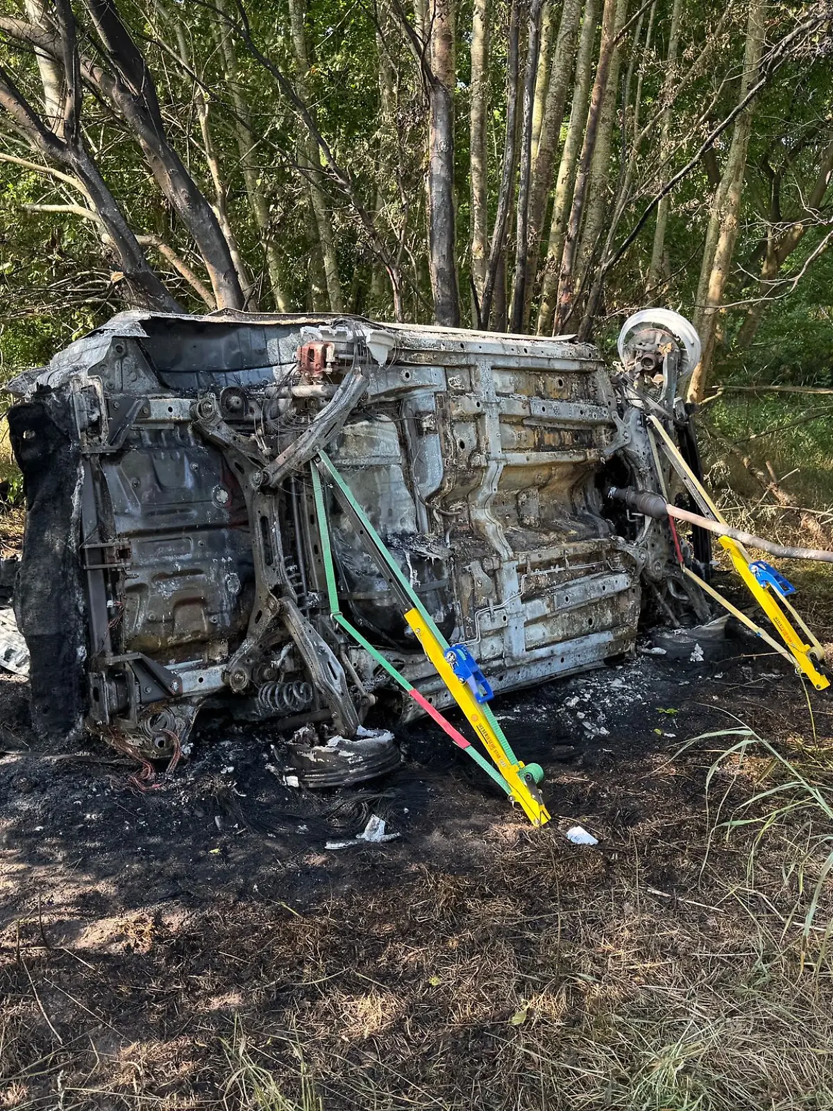 Bild zu: "Schwerer Unfall löst beinahe Waldbrand aus – Fahrer stirbt"