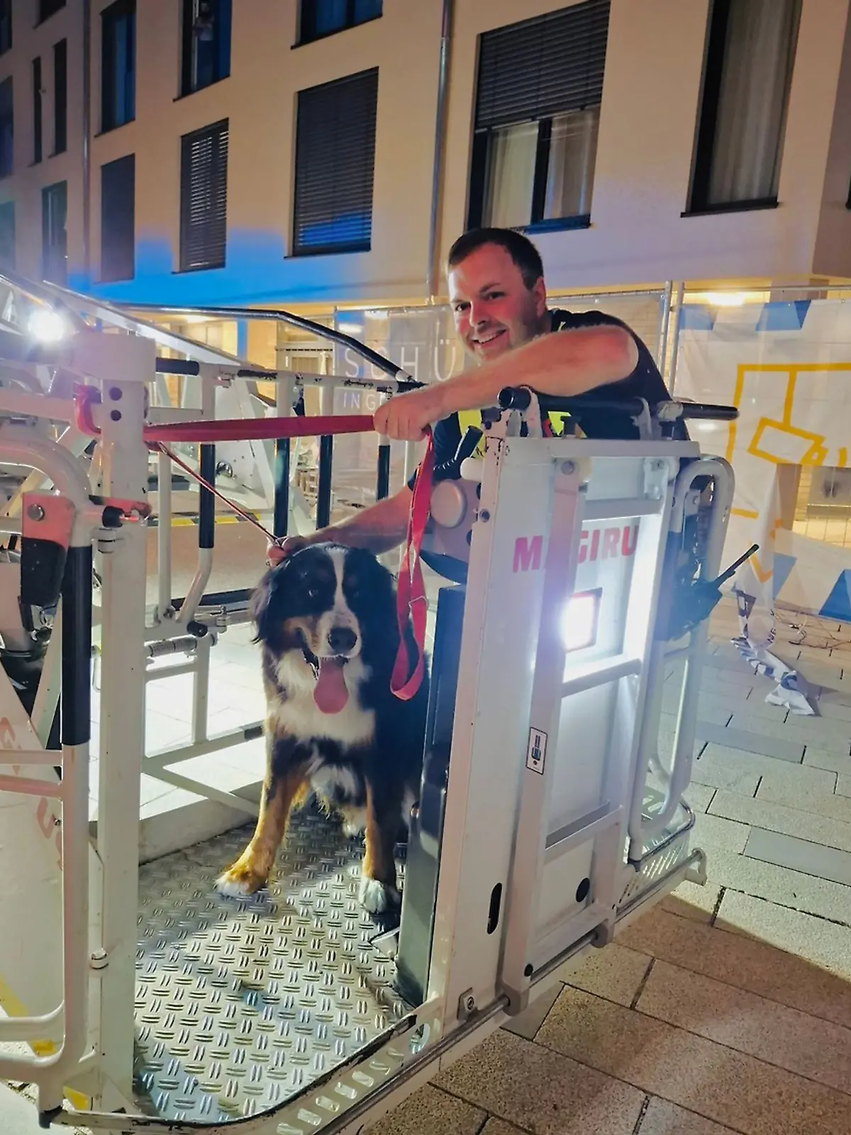 Bild zu: "Feuerwehr rettet Hund vom Dach eines Einkaufszentrums"