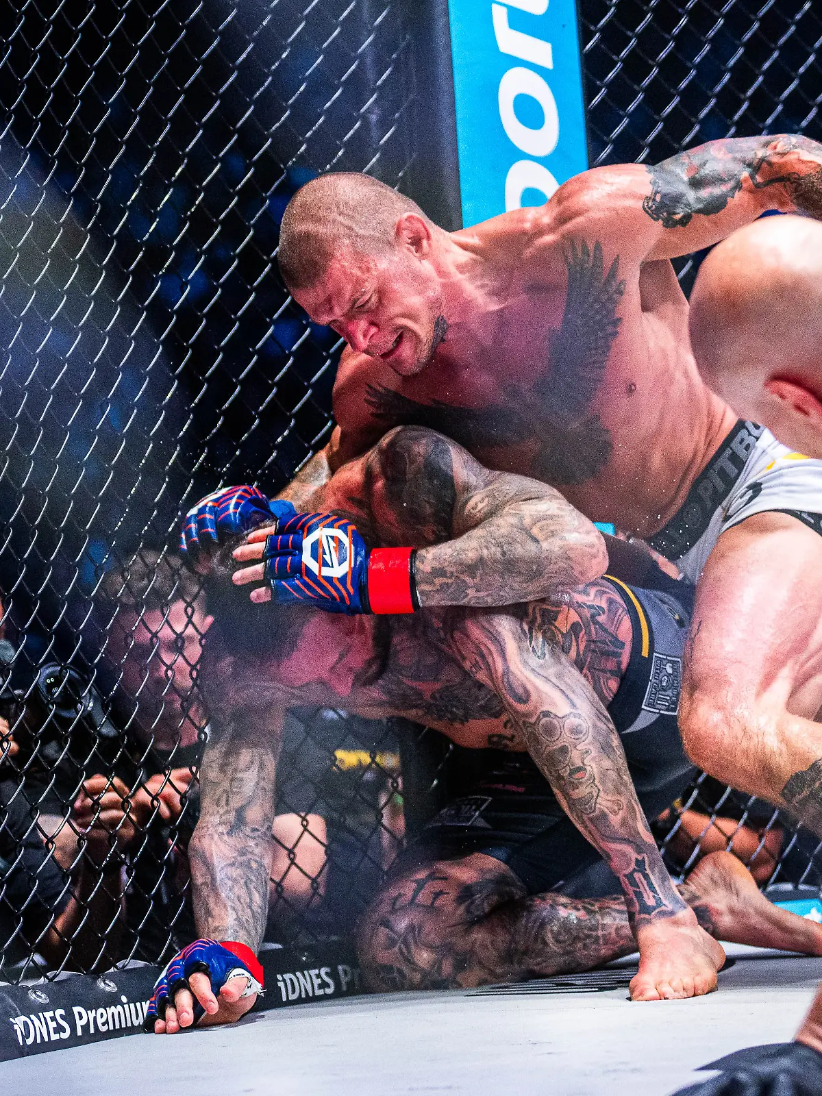 Bild zu: "MMA-Star Eckerlin verliert „Heimspiel” in Hamburg"
