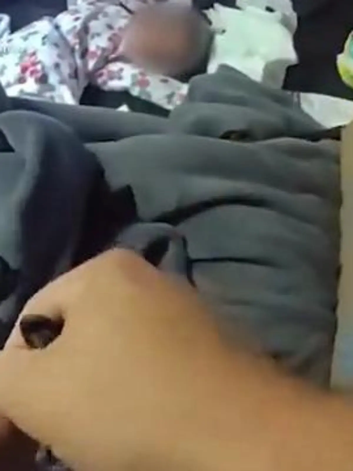 Bild zu: "Neugeborenes liegt tagelang neben toter Mutter – Polizei rettet Baby das Leben"