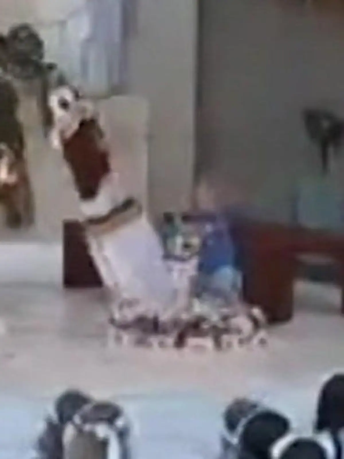 Bild zu: "Weil er gelangweilt ist! So heftig randaliert ein Junge während des Gottesdienstes"