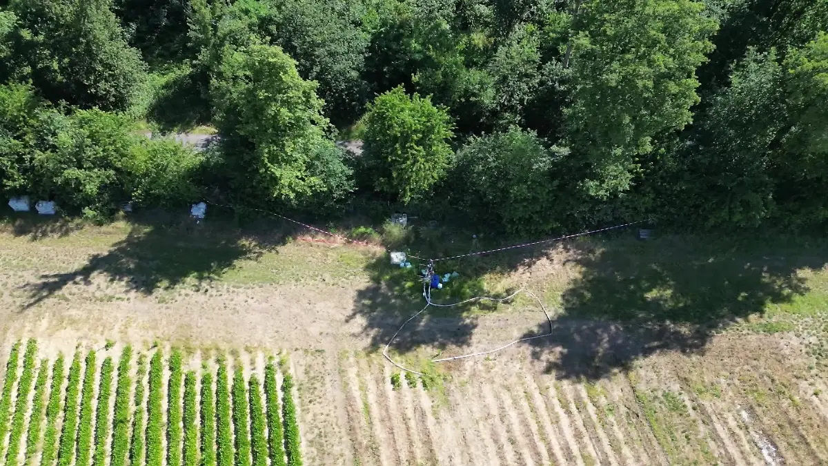 An diesem Waldweg wurde die tote Frau und ihr Kind gefunden. 
