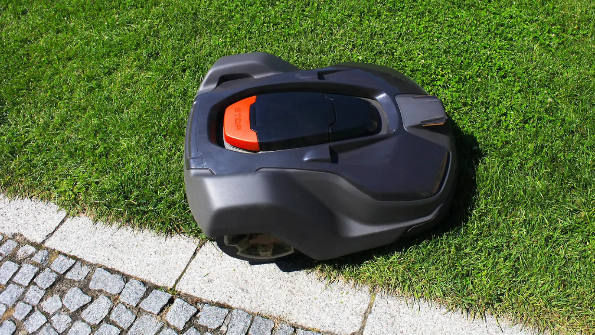 Mähroboter auf dem Rasen