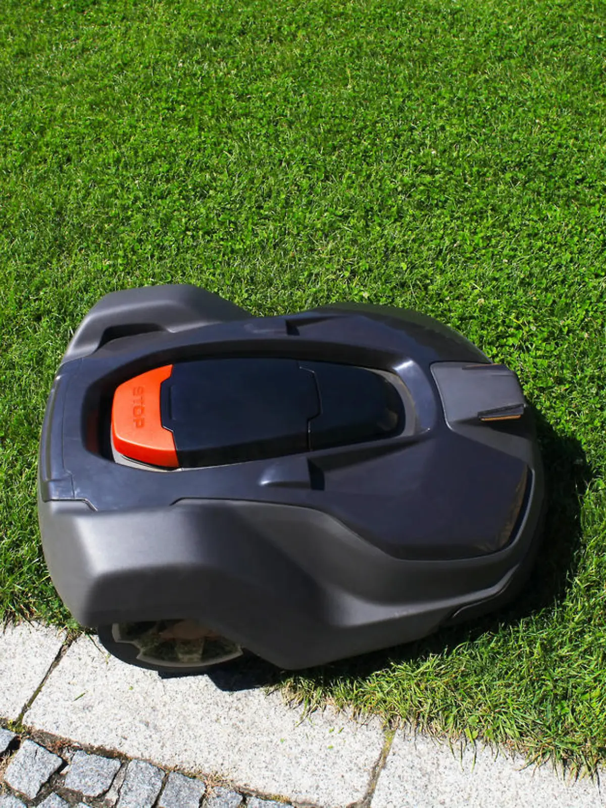 Mähroboter auf dem Rasen