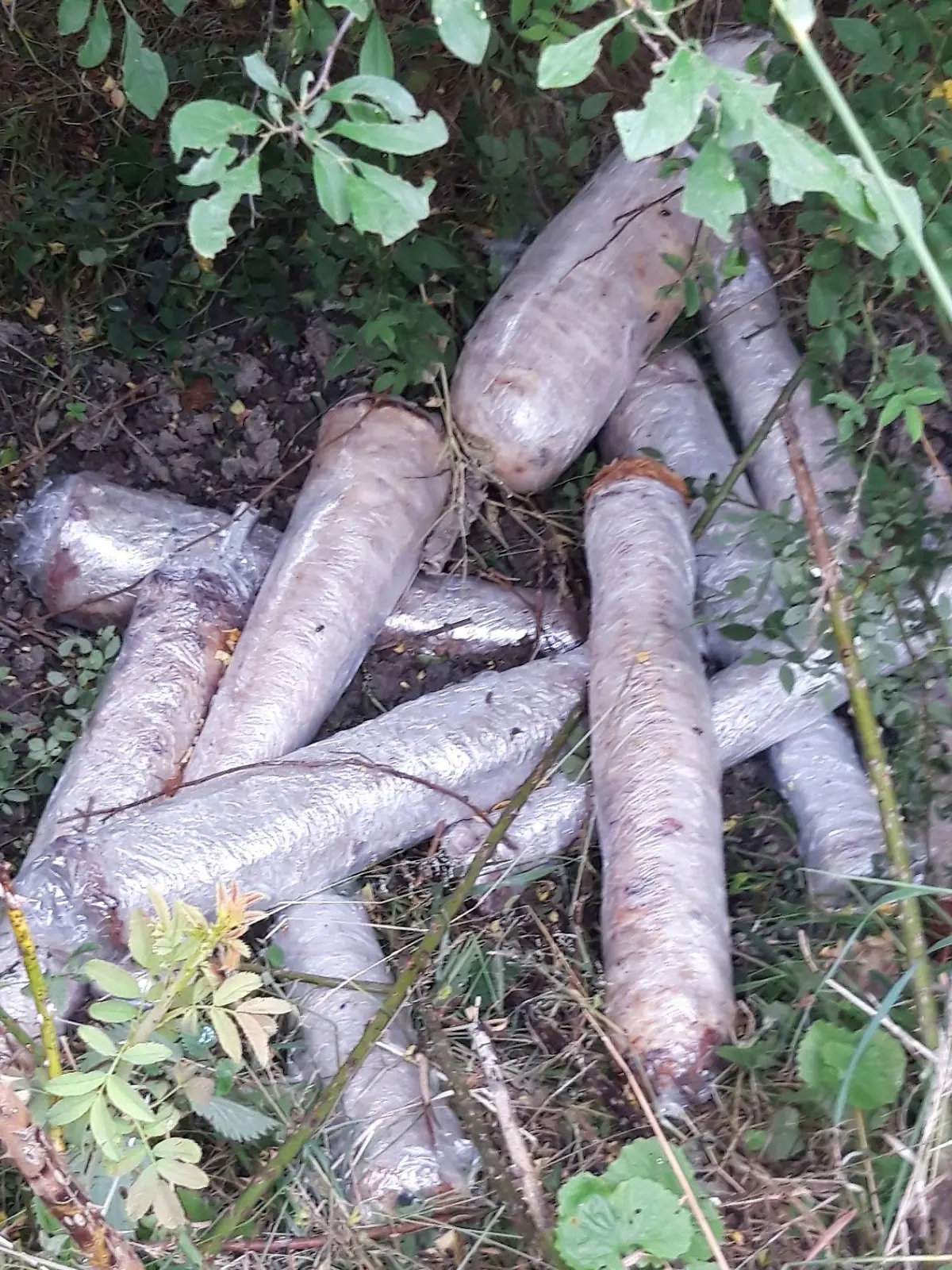 Bild zu: "Wer hat die Döner-Spieße in den Graben geworfen?"