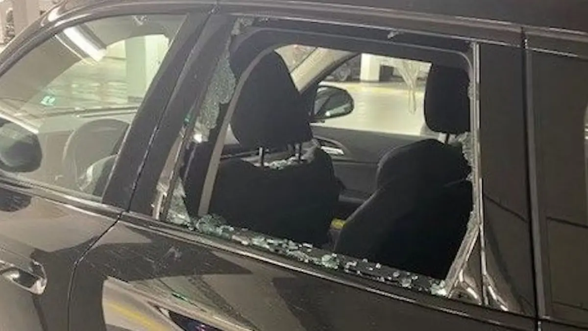 Hund in Köln aus Hitzeauto befreit