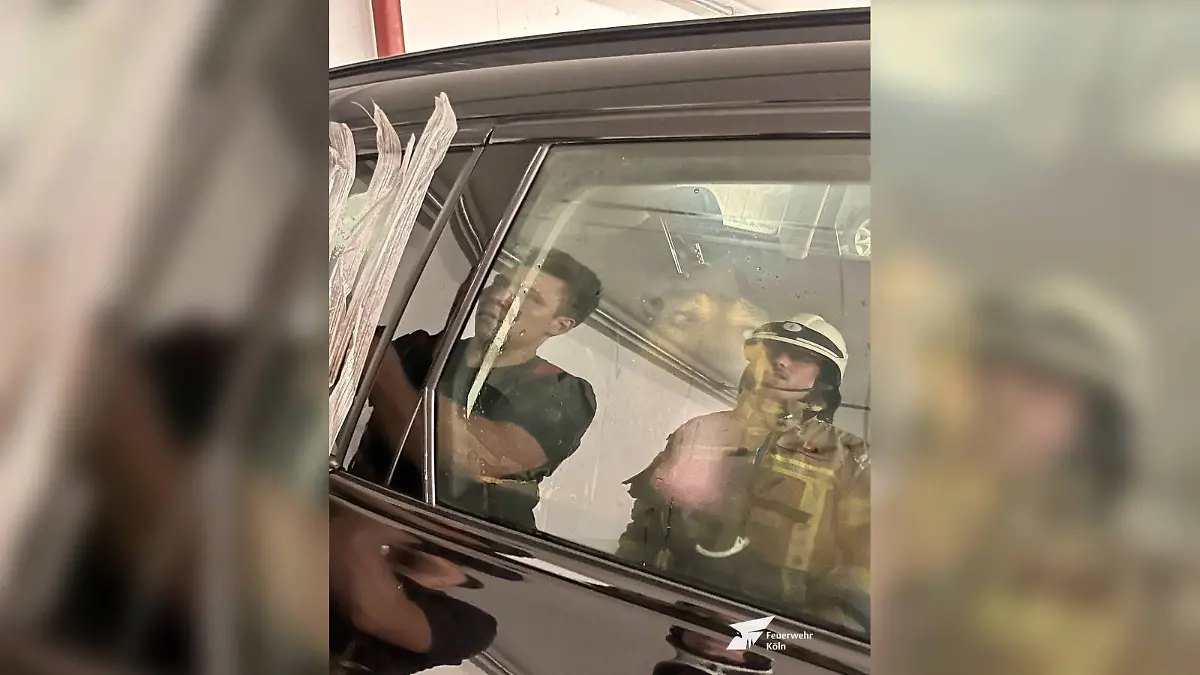 Hund bei Hitze in Auto gelassen
