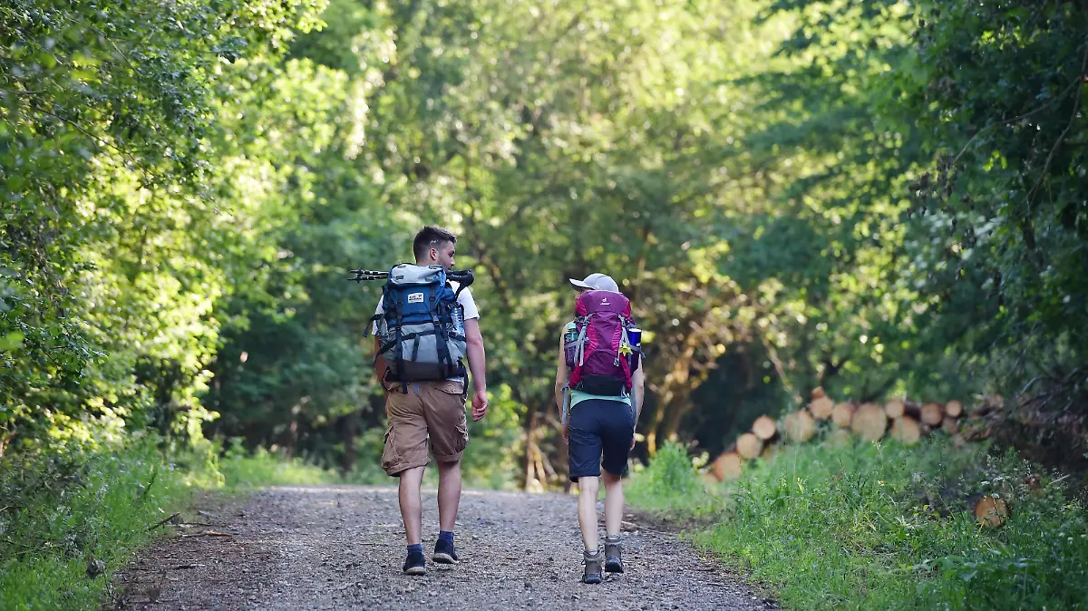 Zwei Wanderer gehen auf dem Hexenstieg im Harz, aufgenommen am 31.05.2018 bei Osterode. Foto: Frank May/picture alliance (model released) | Verwendung weltweit