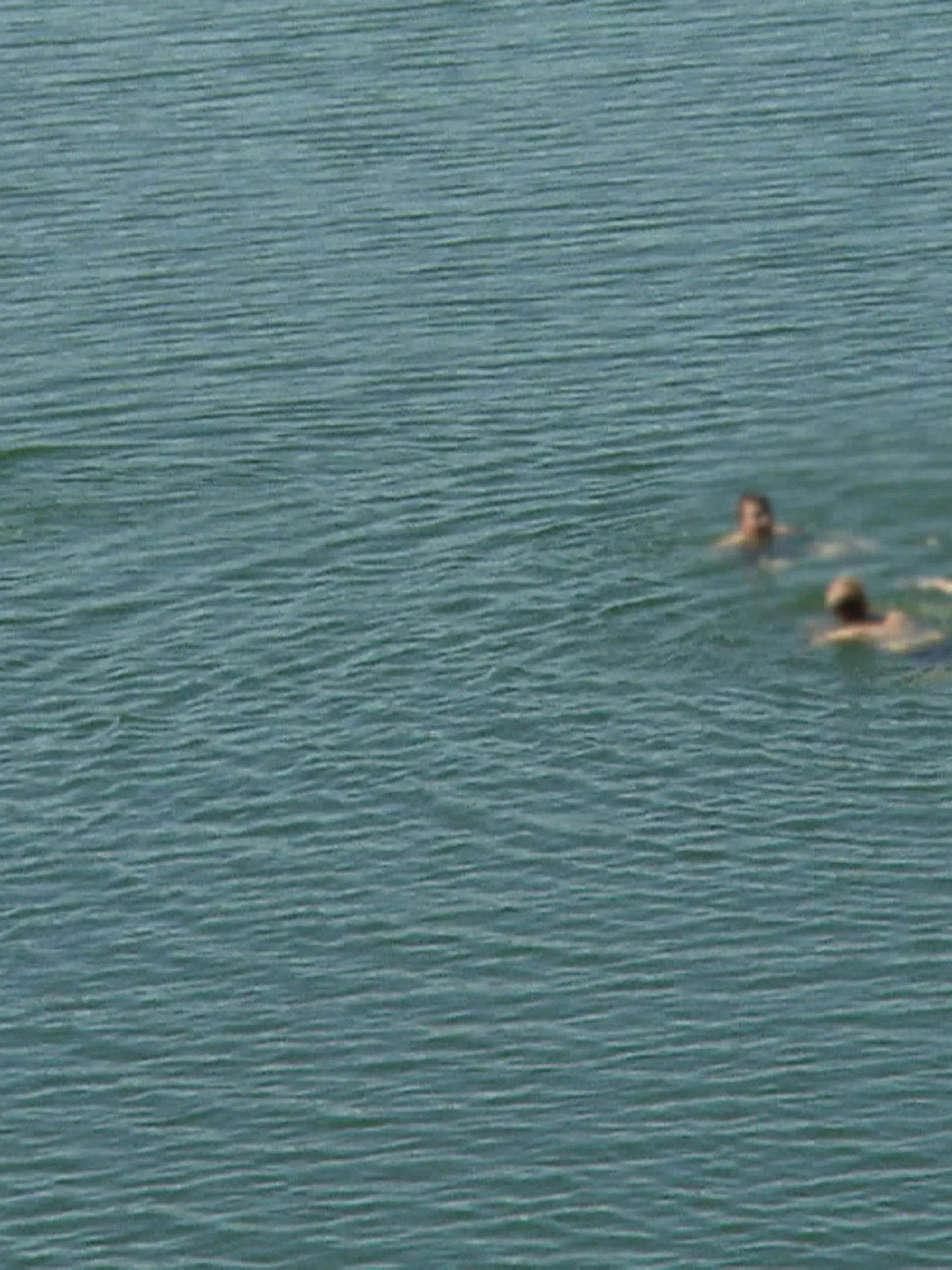 Bild zu: "Badeverbot in der Bervetalsperre"