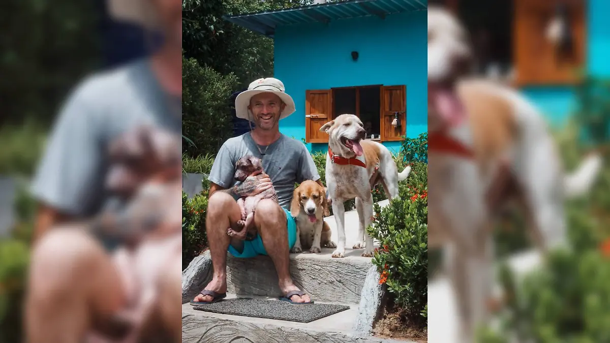 Niall Harbison mit seinen Tierschutzhunden Lil Rodney, McMuffin und King Whacker