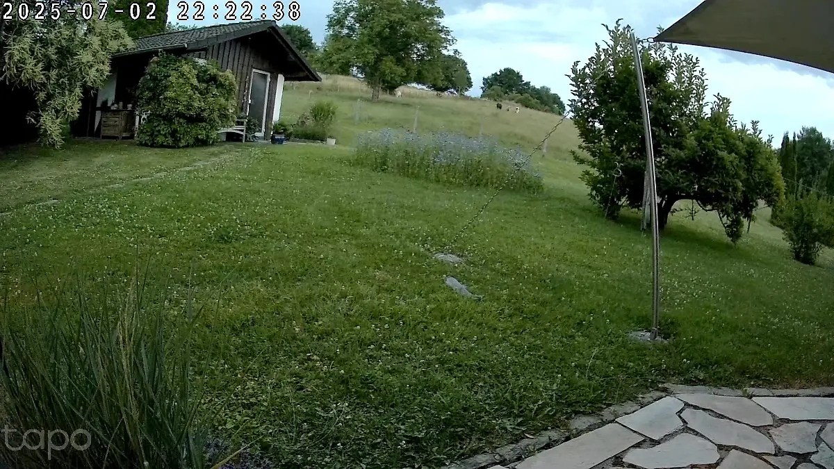 Videoaufnahme einer weiteren Kamera am späten Abend. 