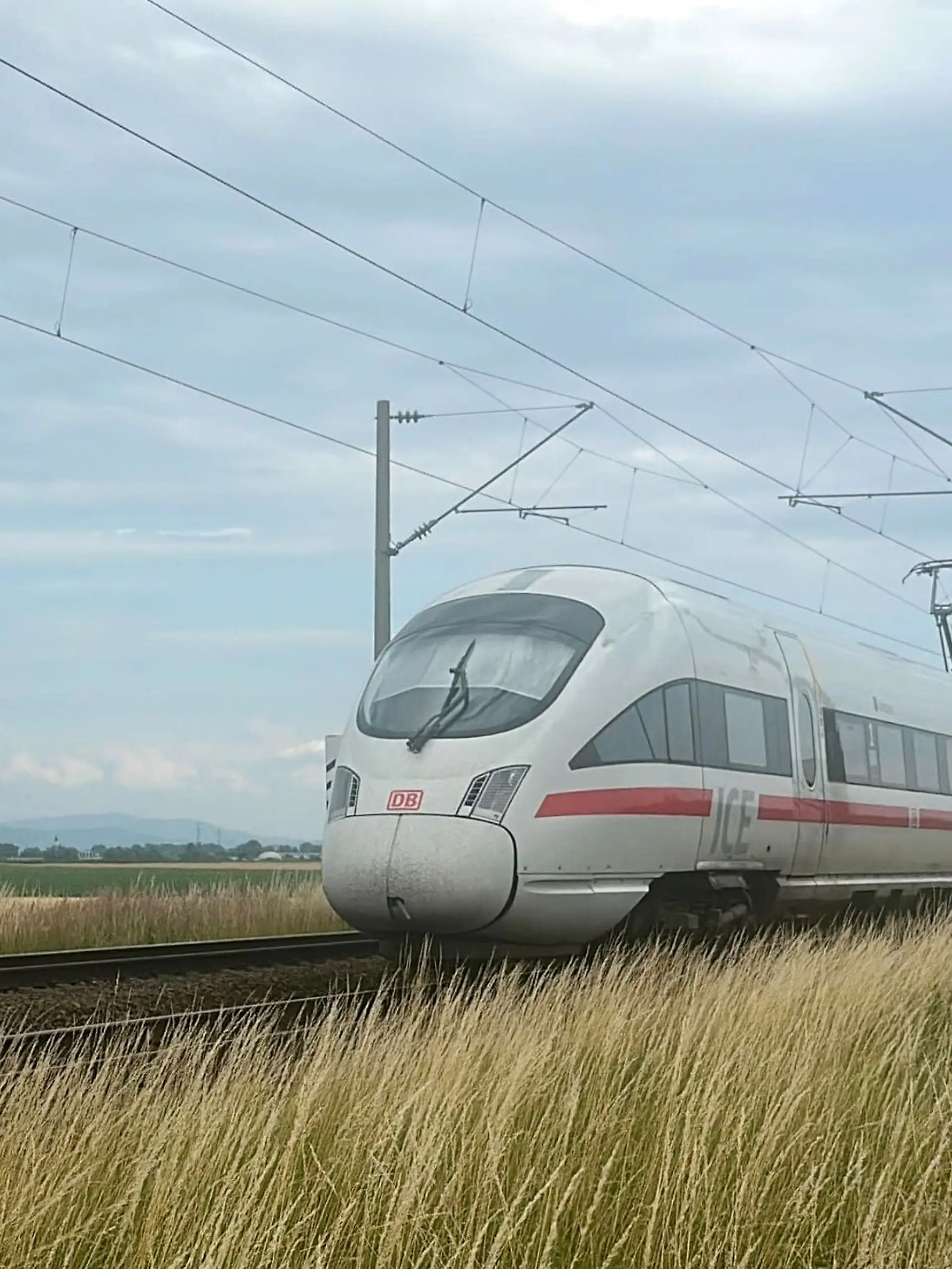 Bild zu: "Syrer (20) greift ICE-Fahrgäste mit Hammer an - vier Verletzte!"