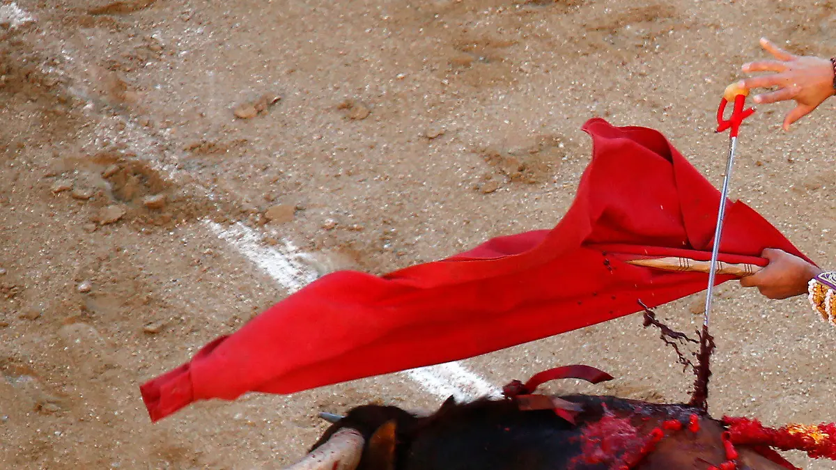 Der spanische Stierkämpfer Aitor Dario «El Gallo» versucht einem Stier am 07.05.2017 in Madrid, Spanien, den Todesstoß mit seinem Degen zu geben, trifft das Tier jedoch nicht tödlich. (ATTENTION EDITORS: GRAPHIC CONTENT) Foto: Francisco Seco/AP/dpa +++(c) dpa - Bildfunk+++
